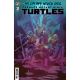 Teenage Mutant Ninja Turtles #21 Cover C Menheere