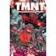 Teenage Mutant Ninja Turtles Journeys #13 Cover B Wachter