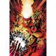 Fury Of Firestorm #5 Cover B Denys Cowan & Jeff Lemire Card Stock Variant