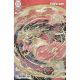 Fury Of Firestorm #5 Cover D Toru Terada Card Stock Variant