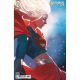 Supergirl #16 Cover C Stephanine Hans Card Stock Variant