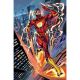 Flash #36 Cover B Claudio Castellini Card Stock Variant