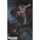Batman Superman #10 Card Stock R Federici Variant