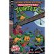 Teenage Mutant Ninja Turtles Saturday Morning Adventures Continued #1 Cover D