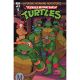 Teenage Mutant Ninja Turtles Saturday Morning Adventures #13 Cover B Rosanas