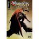 Thundercats Lost #3 Cover E Lee & Chung