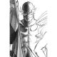 One World Under Doom #4 1:100 Alex Ross Timeles Virgin Sketch Variant