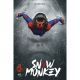 Snow Monkey #1