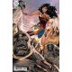 Wonder Woman #21 Cover E 1:25 Lucas Meyer Card Stock Variant