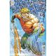 Aquaman #5 Cover E 1:25 Mario Foccillo Card Stock Variant