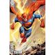 Flash #21 Cover D Tyler Kirkham Supersmash-Up Card Stock Variant
