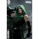 Green Arrow #24 Cover B Lesley Leirix Li Card Stock Variant