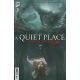 Quiet Place Storm Warning #3 Cover B  Rahzzah