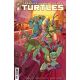 Teenage Mutant Ninja Turtles #18 Cover C Balã¡M