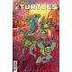 Teenage Mutant Ninja Turtles #18 Cover C Balam
