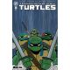 Teenage Mutant Ninja Turtles #18 Cover F 1:25 Edgar