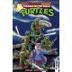 Teenage Mutant Ninja Turtles Saturday Morning Adventures #37 Cover C Miller