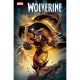 Wolverine #20