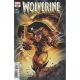 Wolverine #20