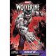 Wolverine #20 Juan Frigeri What If Variant