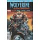 Wolverine Weapons Of Armageddon #4