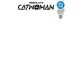 Absolute Catwoman #1 Cover G Blank Card Stock Variant