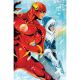 Flash #33 Cover B John Timms Card Stock Variant