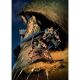 Conan And Dragonero #1 Cover D Roberto De La Torre Virgin Variant