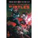 Teenage Mutant Ninja Turtles Untold Destiny Of Foot Clan #5