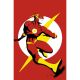 Flash #11 Cover B Javier Rodriguez Card Stock Variant