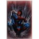Amazing Spider-Man #8 1:100 Gabriele Dell Otto Virgin Variant