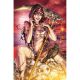 Grimm Fairy Tales Presents Swimsuit 2025 Cover C Cardygrade