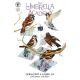 Umbrella Academy Plan B #3 Cover B Bergara