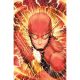 Flash #23 Cover B Serg Acuna Card Stock Variant