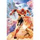 Flash #23 Cover C Travis Mercer Card Stock Variant