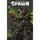Medieval Spawn #4 Cover B Kael Ngu Variant
