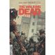 Walking Dead Deluxe #116