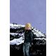 Something Is Killing The Children #49 Cover K Unlimited Full Art Dell Edera