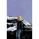 Something Is Killing The Children #49 Cover K Unlimited Full Art Dell Edera