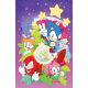 Sonic The Hedgehog 35Th Anniversary Special Cover C Foil Ata Full Art