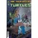 Teenage Mutant Ninja Turtles #20 300Th Issue Special Cover E Dooney