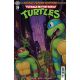 Teenage Mutant Ninja Turtles Saturday Morning Adventures #39 Cover C Gowoah