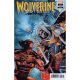Wolverine #23 1:25 Roi Mercado Variant