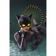 Absolute Catwoman #2 Cover B Lesley Leirix Li Card Stock Variant