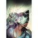 Absolute Catwoman #2 Cover C Mirka Andolfo Card Stock Variant