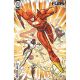 Flash #35 Cover B Riley Rossmo Card Stock Variant