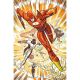 Flash #35 Cover B Riley Rossmo Card Stock Variant
