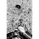Do A Powerbomb Black And White #1 Cover D Daniel Warren Johnson Variant