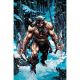 Fire And Ice Darkwolf #1 Cover H Dan Panosian Metal Premium Variant