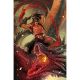 Fire And Ice Darkwolf #1 Cover L 1:20 Stjepan Sejic Virgin Variant